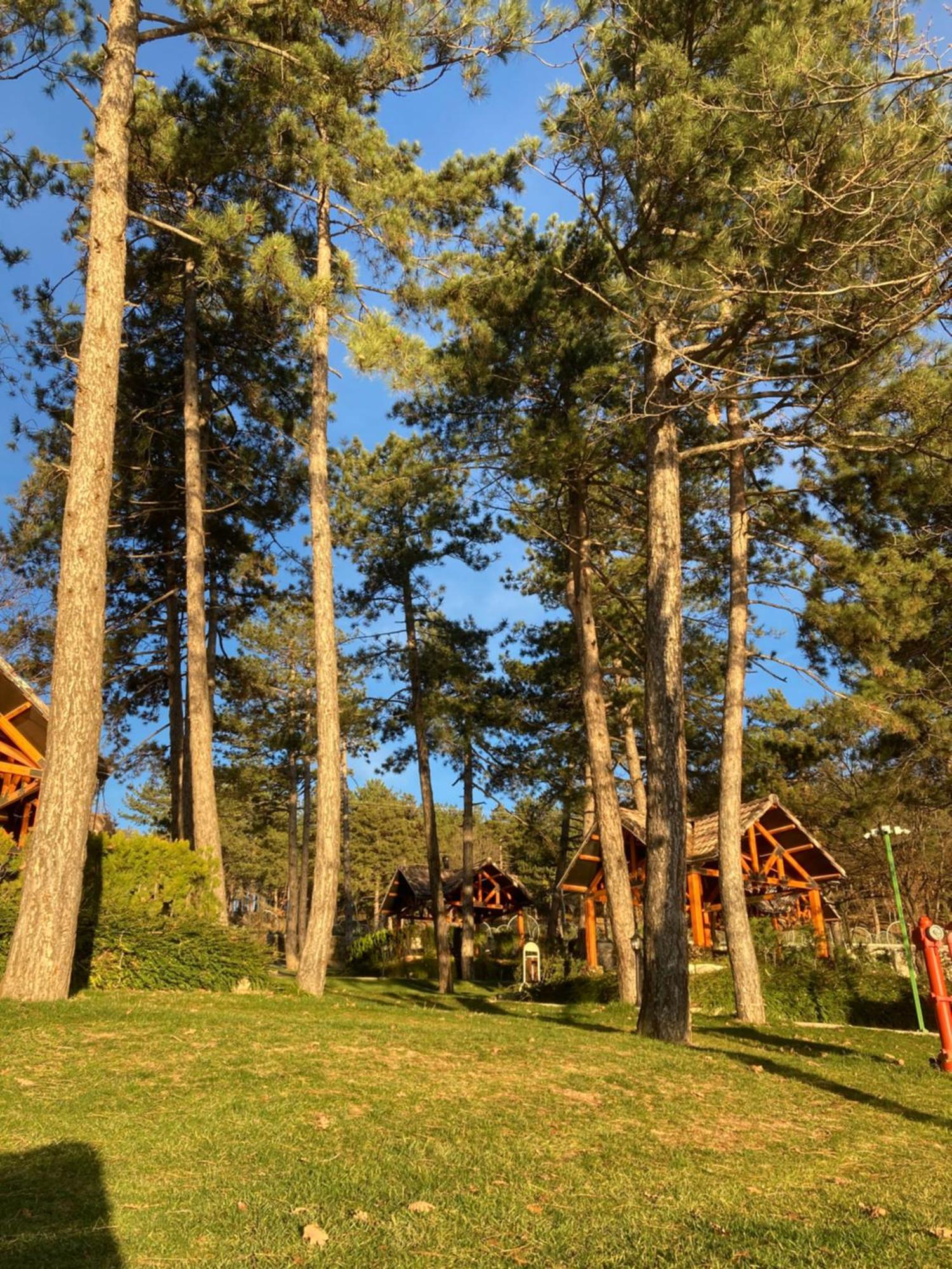 Kamp alanı Nefes Dağyenıce *
